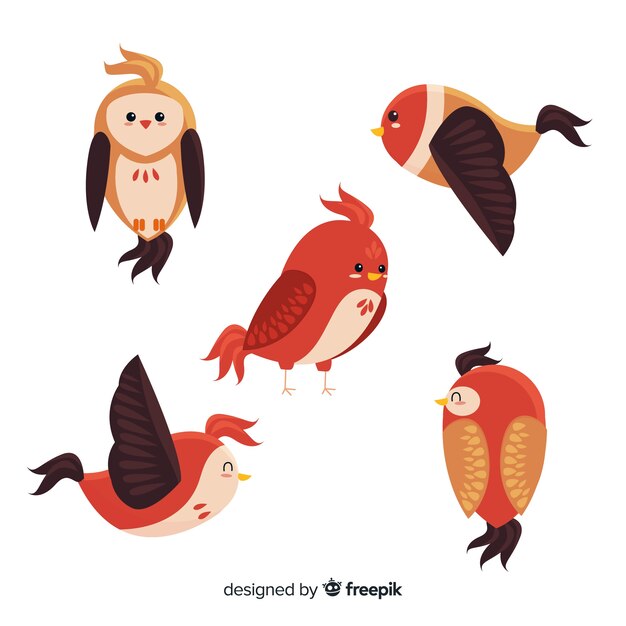 Pack de pájaros dibujados a mano
