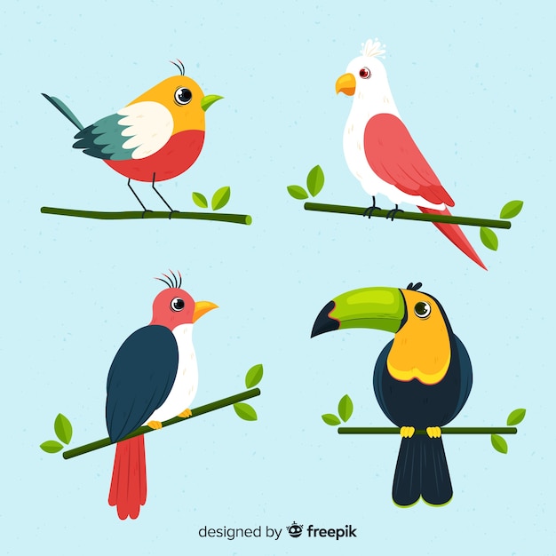 Pack de pájaros dibujados a mano