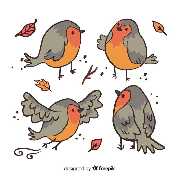 Pack de pájaros dibujados a mano.