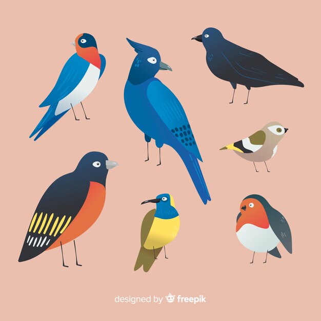 Pack de pájaros dibujados a mano