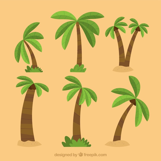 Vector gratuito pack de palmeras en diseño plano