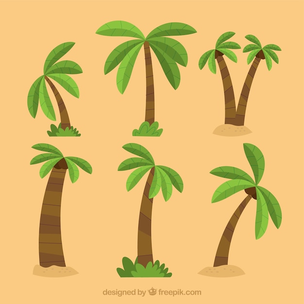 Pack de palmeras en diseño plano 