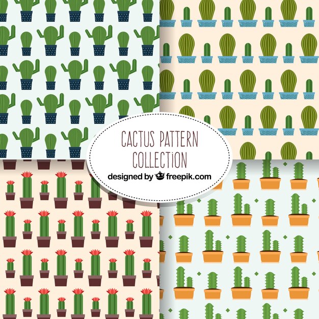Pack de patrones de cactus en diseño plano 