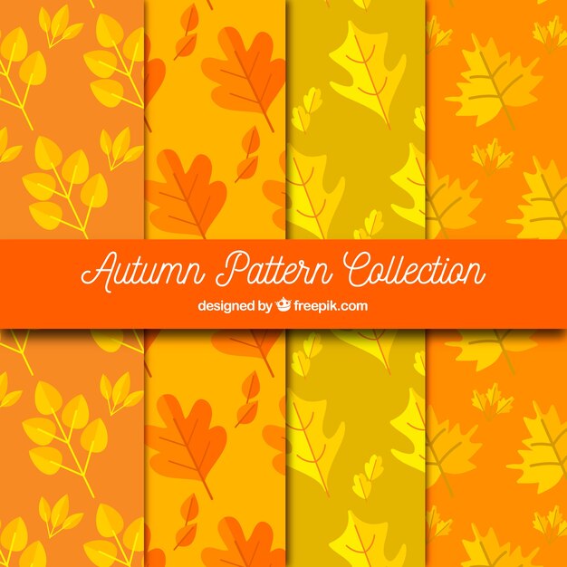 Pack de patrones de otoño con hojas secas