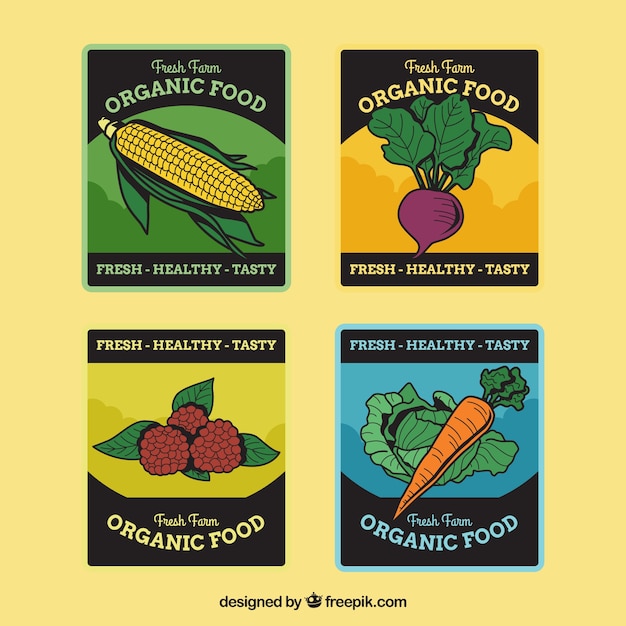 Vector gratuito pack de pegatinas retro de comida ecológica