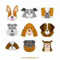 Vector gratuito pack de perros de diferentes razas en diseño plano