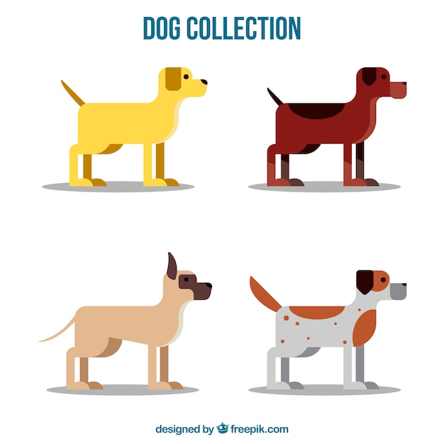 Pack de perros en diseño plano 