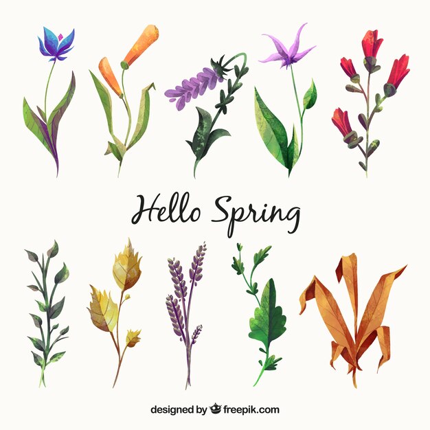 Pack de primavera de plantas y flores en estilo de acuarela