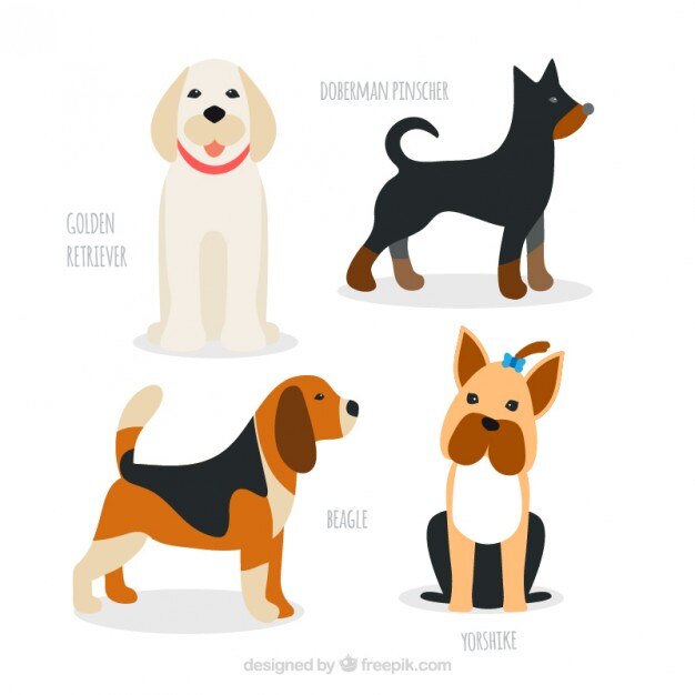 Pack de razas de perro dibujadas a mano