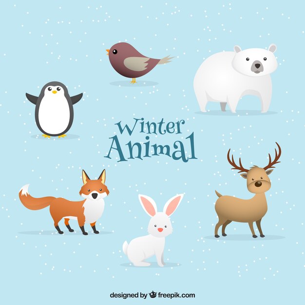 Pack de seis animales de invierno