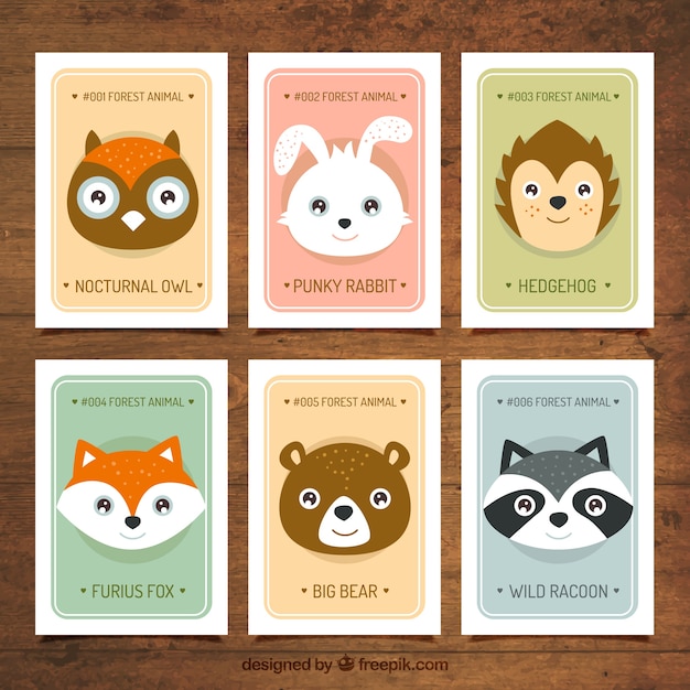 Pack de seis tarjetas con simpáticos animales salvajes