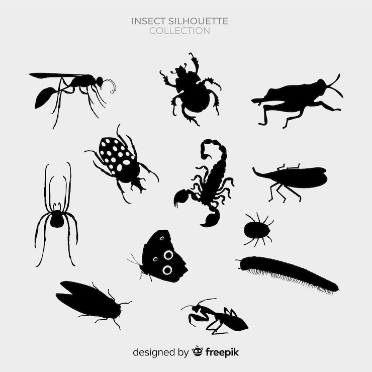 Vector gratuito pack siluetas insectos