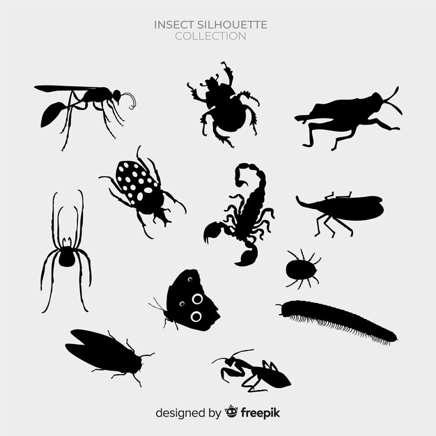 Pack siluetas insectos