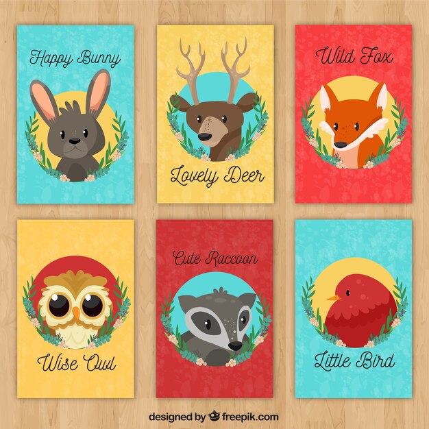Pack de tarjetas con caras de animales salvajes