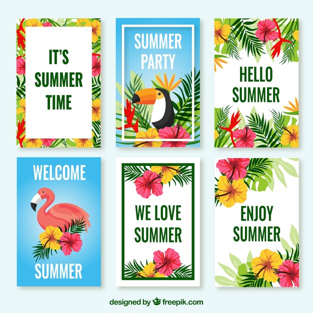 Pack de tarjetas tropicales con flores y aves