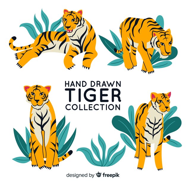 Pack de tigres dibujados a mano.