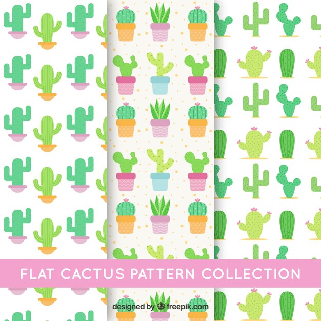 Pack de tres patrones con cactus en diseño plano 