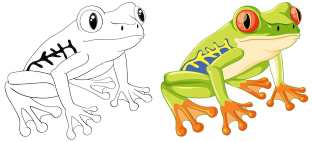 Vector gratuito página para colorear de dibujos animados de rana verde de contorno