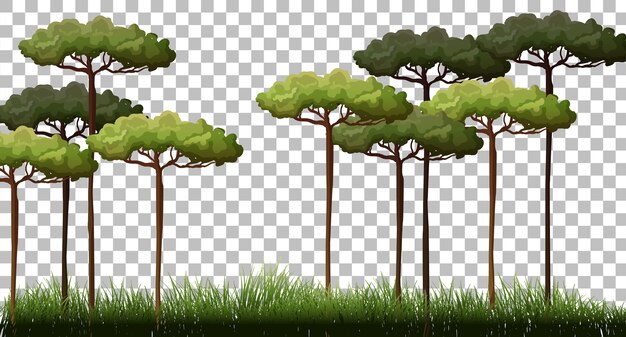 Paisaje al aire libre de la naturaleza