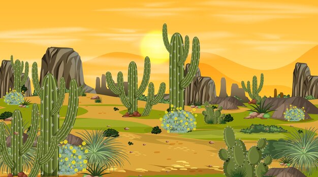 Paisaje de bosque desértico en la escena del atardecer con muchos cactus