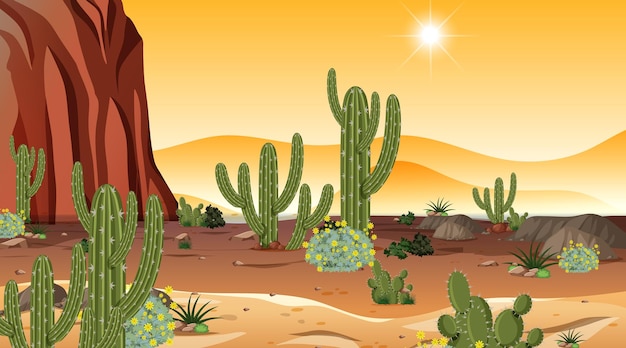 Paisaje de bosque desértico en la escena del atardecer con muchos cactus