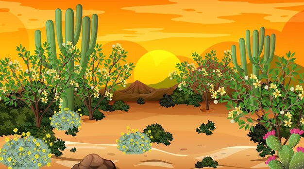 Paisaje de bosque desértico en la escena del atardecer con muchos cactus