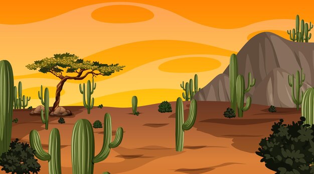 Paisaje de bosque desértico en la escena del atardecer con muchos cactus