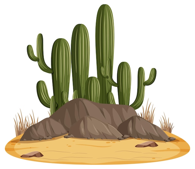 Paisaje desértico aislado con cactus