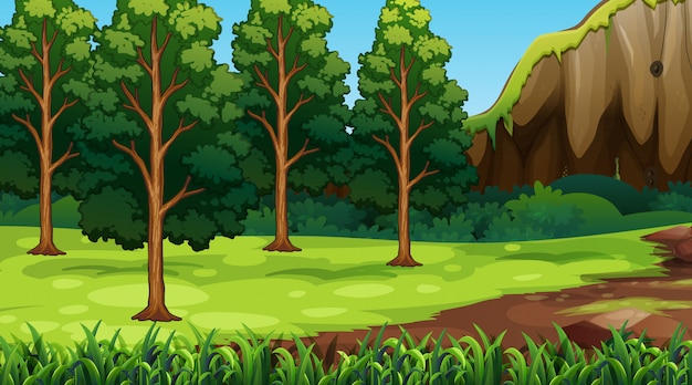 Paisaje natural de fondo vacío