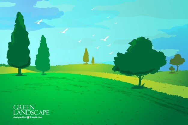 Paisaje pacífico con aves
