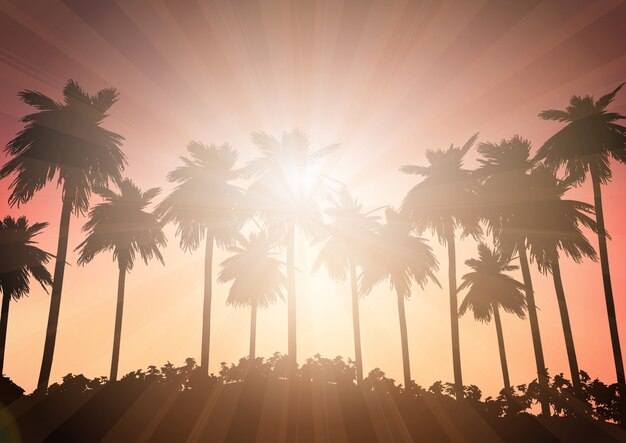 Paisaje de palmera contra un cielo al atardecer