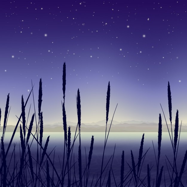 Vector gratuito paisaje en un pantano de noche