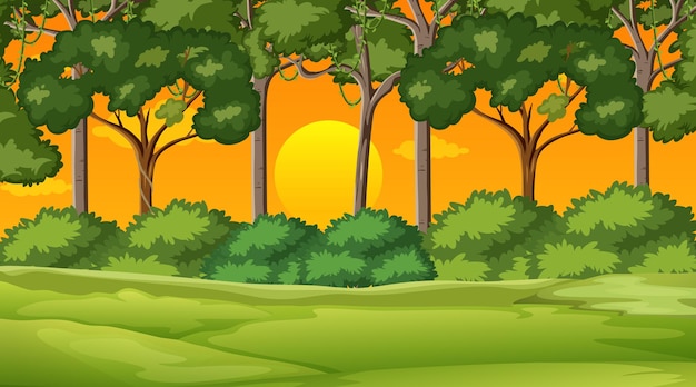 Vector gratuito paisaje del parque natural en blanco en la escena del atardecer