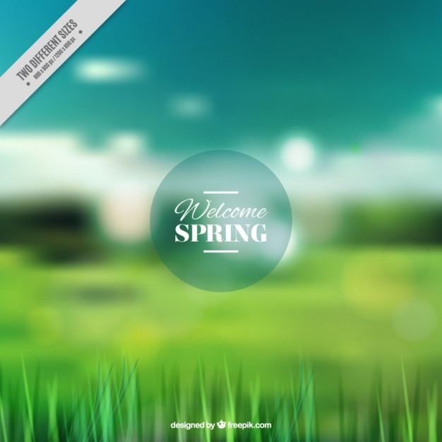 Paisaje de primavera con fondo borroso