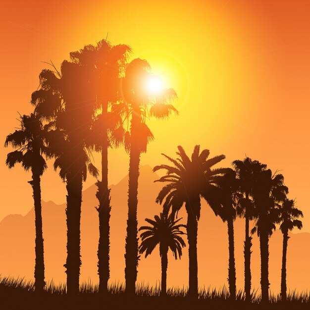 Paisaje tropical con siluetas de palmeras contra un cielo de atardecer