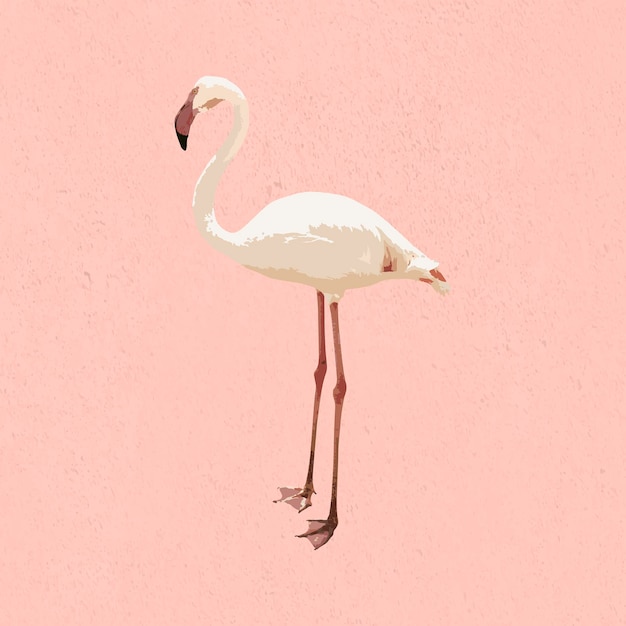 Pájaro flamenco blanco vectorizado sobre un fondo rosa