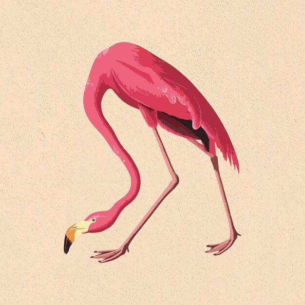 Pájaro flamenco rosa vectorizado sobre un fondo beige