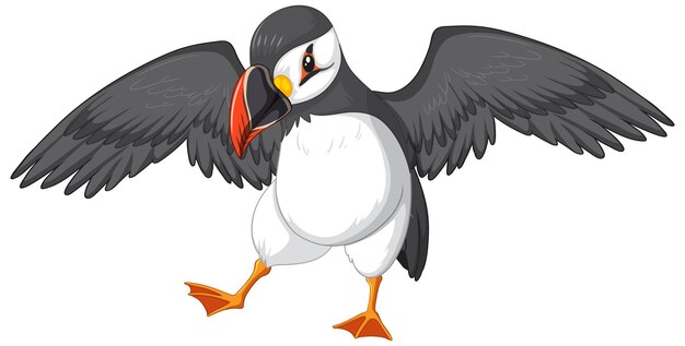 Pájaro frailecillo atlántico sobre fondo blanco