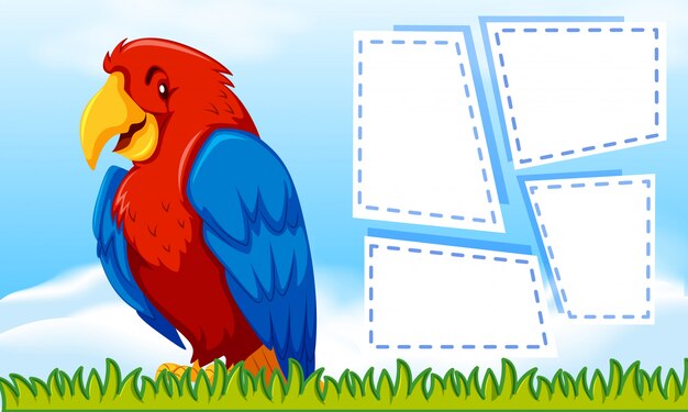 Pájaro con un marco