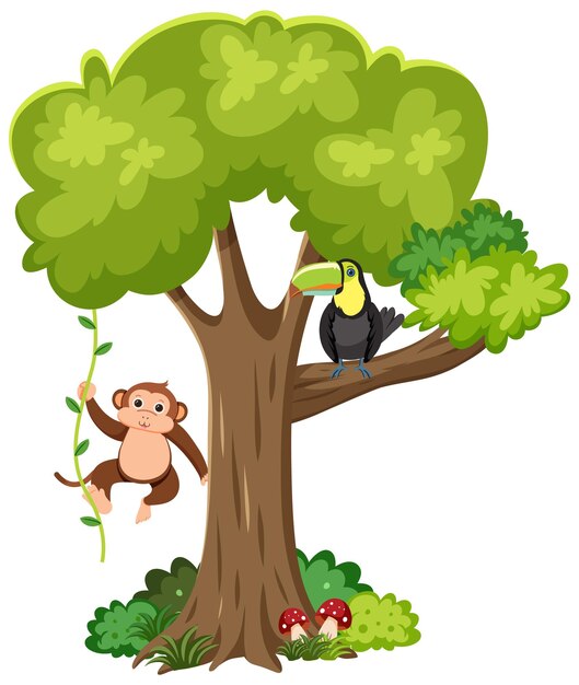 Pájaro mono y tucán en un árbol