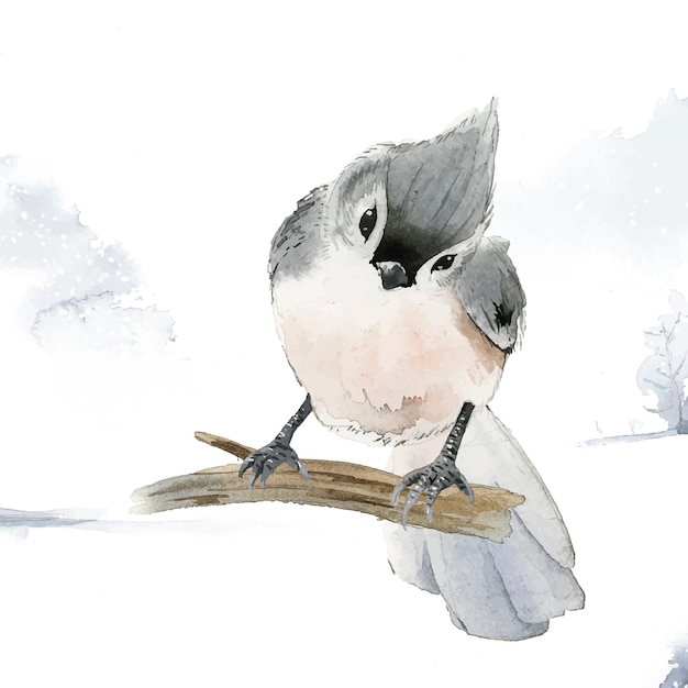 Pájaro de paro copetudo en invierno vector acuarela