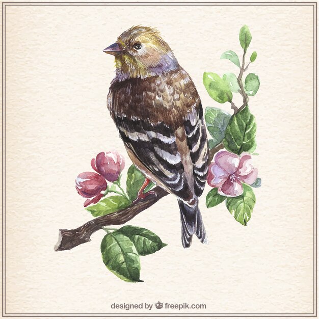 Pájaro en rama de acuarela