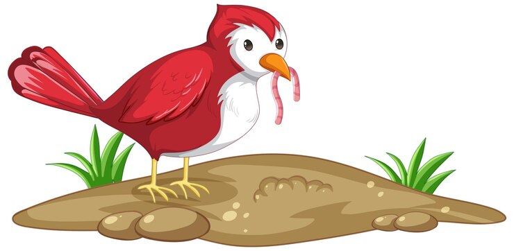 Vector gratuito un pájaro rojo atrapando gusanos en estilo de dibujos animados aislado
