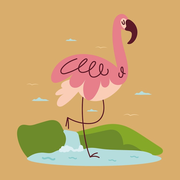 pájaro rosado del flamenco