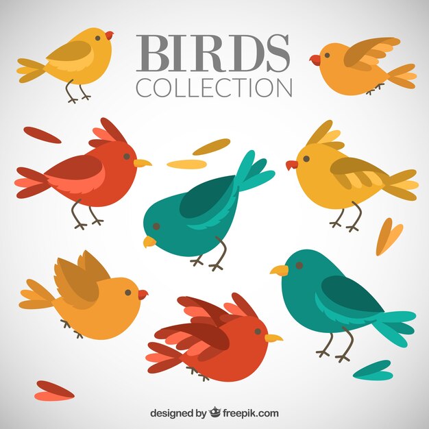 Los pájaros encantadores se agrupan