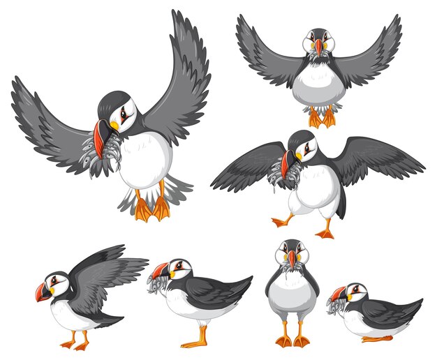 Pájaros frailecillos en estilo de dibujos animados