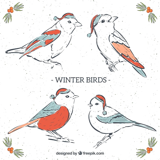 Vector gratuito pájaros de invierno bonitos dibujados a mano