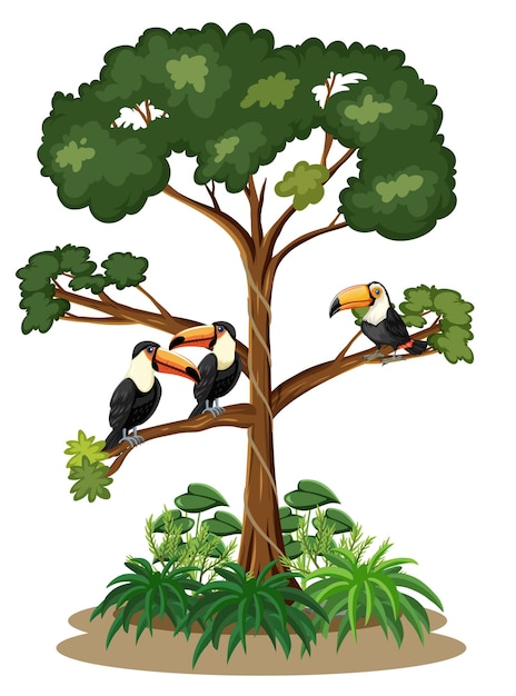 Vector gratuito pájaros tucán de pie en el árbol