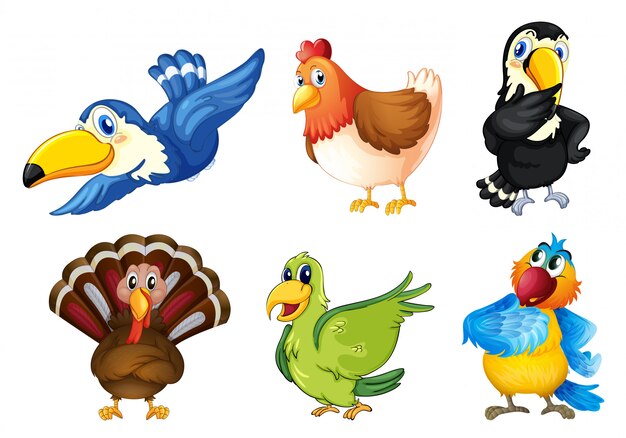 Pájaros voladores