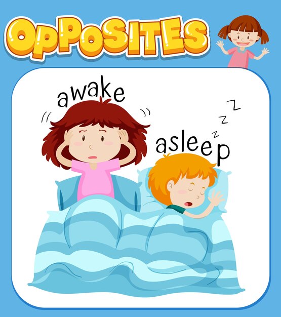 Palabras opuestas para despierto y dormido